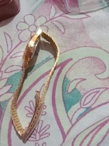 Citizen Brand New Golden Watch