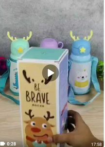 Water Bottle