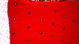 Handwork Chikenkari Red Embroidered Kurta