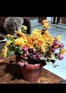 Combo Of Multiple Flower Bunches Without Pot