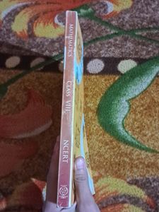 Class 8 Math Textbook