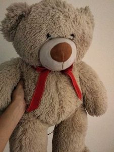 Large Plush Teddy Bear