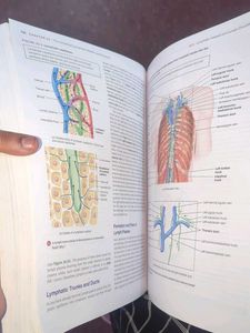 Anatomy and Physiology Textbook