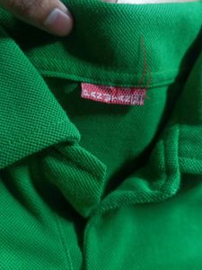 Green Tshirt New Panjtan