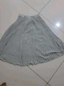 Pleated Women's Skirt