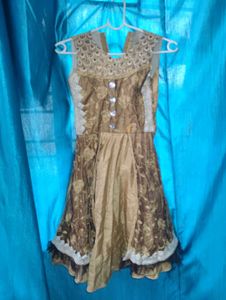 Embroidered Party Dress