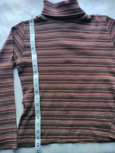 Turtleneck Sweater