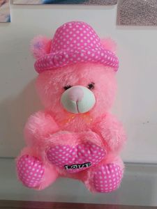 Pink Soft Teddy Toy