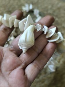Seashell Statement Necklace