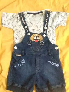 Cute Puppy Outfit