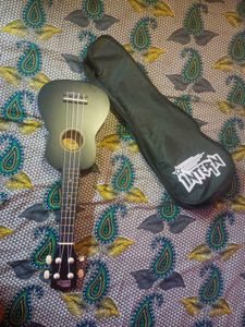 Intern Ukulele with Case