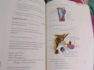 Marrow Edition 6 - 1st Year Notes