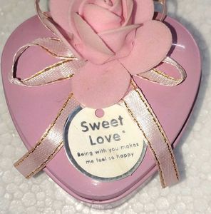 Show Piece Heart pink Metal Storage Box Trend