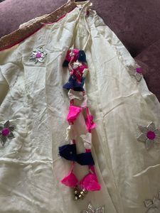 Embroidered Lehenga Skirt
