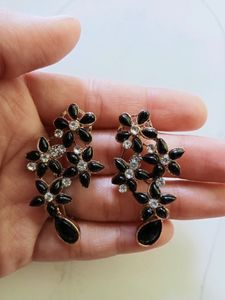 Exquisite Earrings