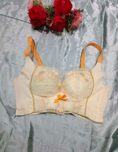Floral Embroidered Corset Bra