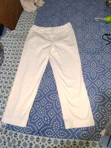 Women  Office Pants
