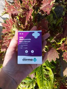 10% Niacinamide Face Serum