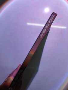 Inside The Diaries
