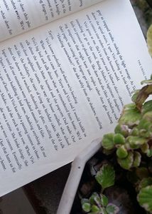 *Price Drop*The Cruel Prince