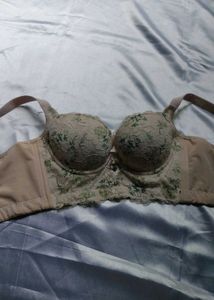Bra