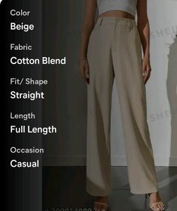 Beige Casual Trousers