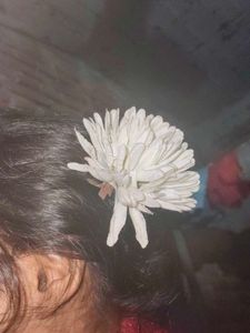 Pearl Hair Accessory