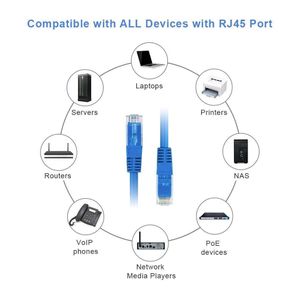 Blue Ethernet Cable 5 meater