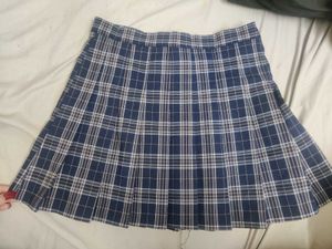 Skater Pleated Skirt