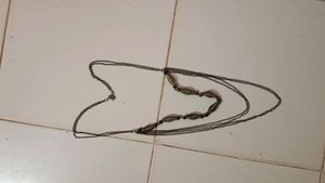 Long Chain
