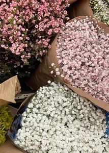Dry Flower Baby Breathe Bouquet