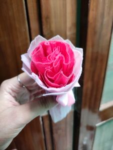Handmade Rose Bouquet With Ribbon 🎀