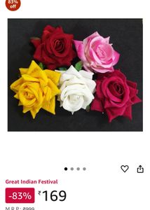 Hair Clips
