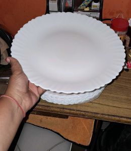 Plate 10pc 11inch and 16pc 7.5inch