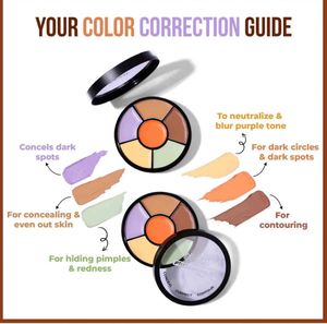 All In One Concealer Palette