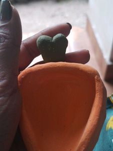 Trinket Dish