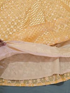 Chanderi Flared Skirt