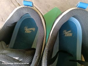 Nike SB Allyoop Original Pairs