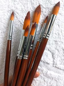 Artist Paint Brush Set