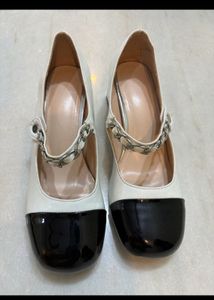 Totally New Miumiu Bellies