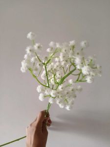 New BabyBreath Stick
