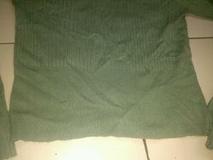 Zara Fit Top