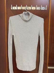 Cute Shimmery Turtle Neck Highly Stretch Skeevey