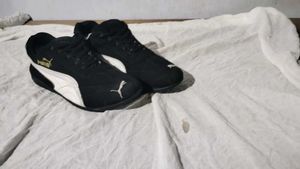 Puma Speed Cat Black Suede Sneakers