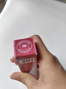 Color Chemistry Lip Crayon (Camellia LC12)