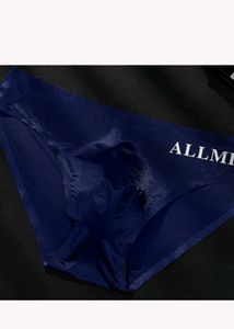 Allmix Blue Seamless Pouch Briefs