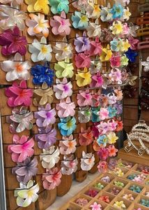 Buy Any 5 Colorful Flower Hair Clature