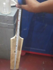 cricket bat
