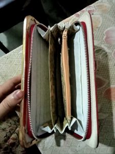 Vintage Peacock Clutch