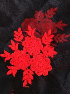 Black&amp;Red Saree With Stitched Blouse,Paticot
